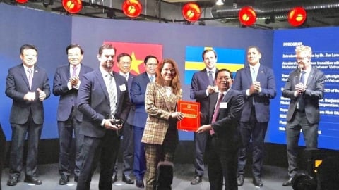 Binh Dinh grants investment registration certificate for 1 billion USD project